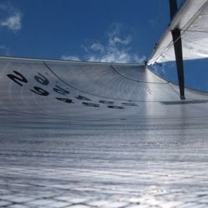 Meet your Posher, Peter